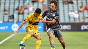 Injury worries for Phoenix ahead of Melbourne Victory clash