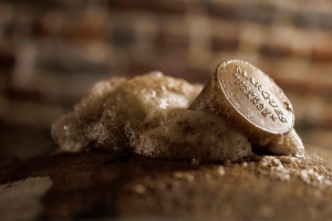 Blend of tradition and taste: Brussels’ last lambic brewery draws crowd