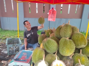 Thorny treasures await: Top spots to get your durian fix in Kuching