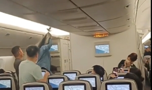 It's a bird! In a plane! Feathered stowaway gives new definition to in-flight entertainment in viral video