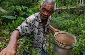 Community-led solutions to Malaysia’s food security crisis