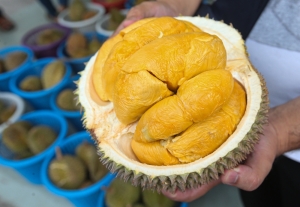 What’s in this year’s heritage foods list? Find local favourites like durian, ‘aiskrim Malaysia’, ‘capati’ and ‘kek lapis Sarawak’