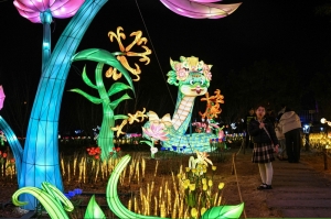 Lanterns illuminate Fuzhou nights: A stunning prelude to Lunar New Year festivities in China